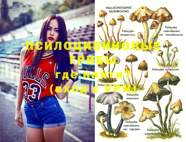 мдпв Надым