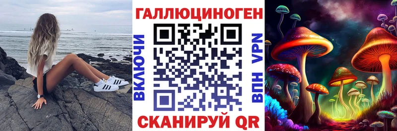 Псилоцибиновые грибы GOLDEN TEACHER  Кизел 